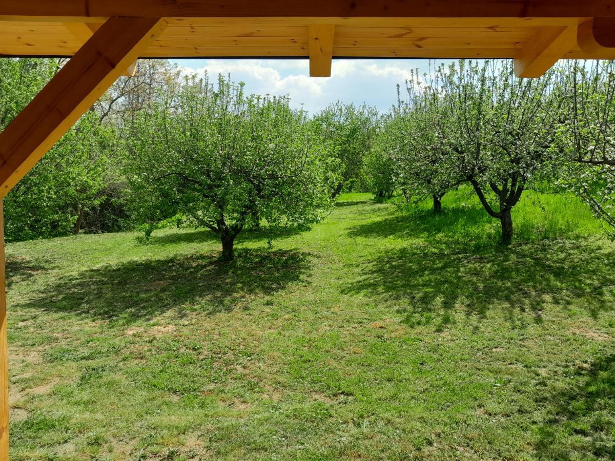 Villa Nica Wood Sremska Kamenica Exterior foto