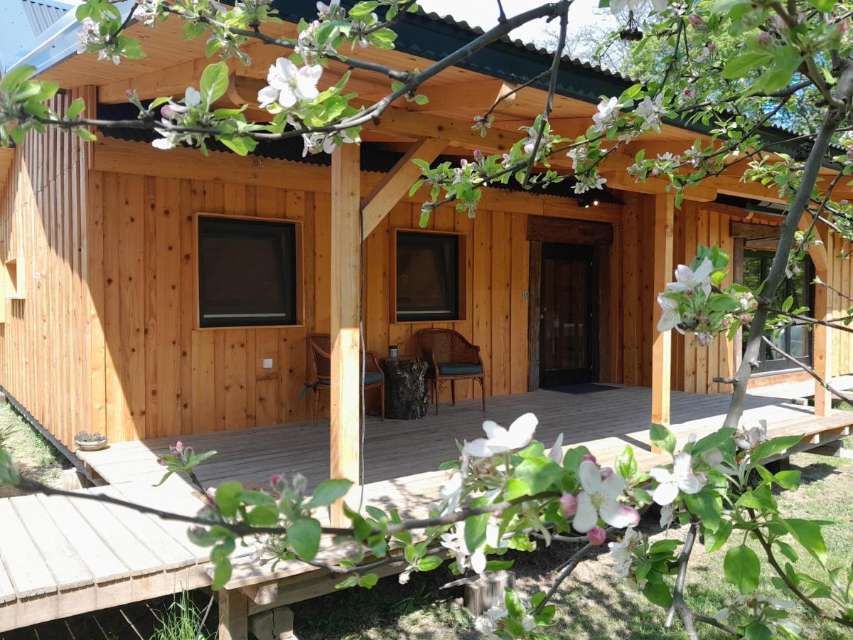 Villa Nica Wood Sremska Kamenica Exterior foto