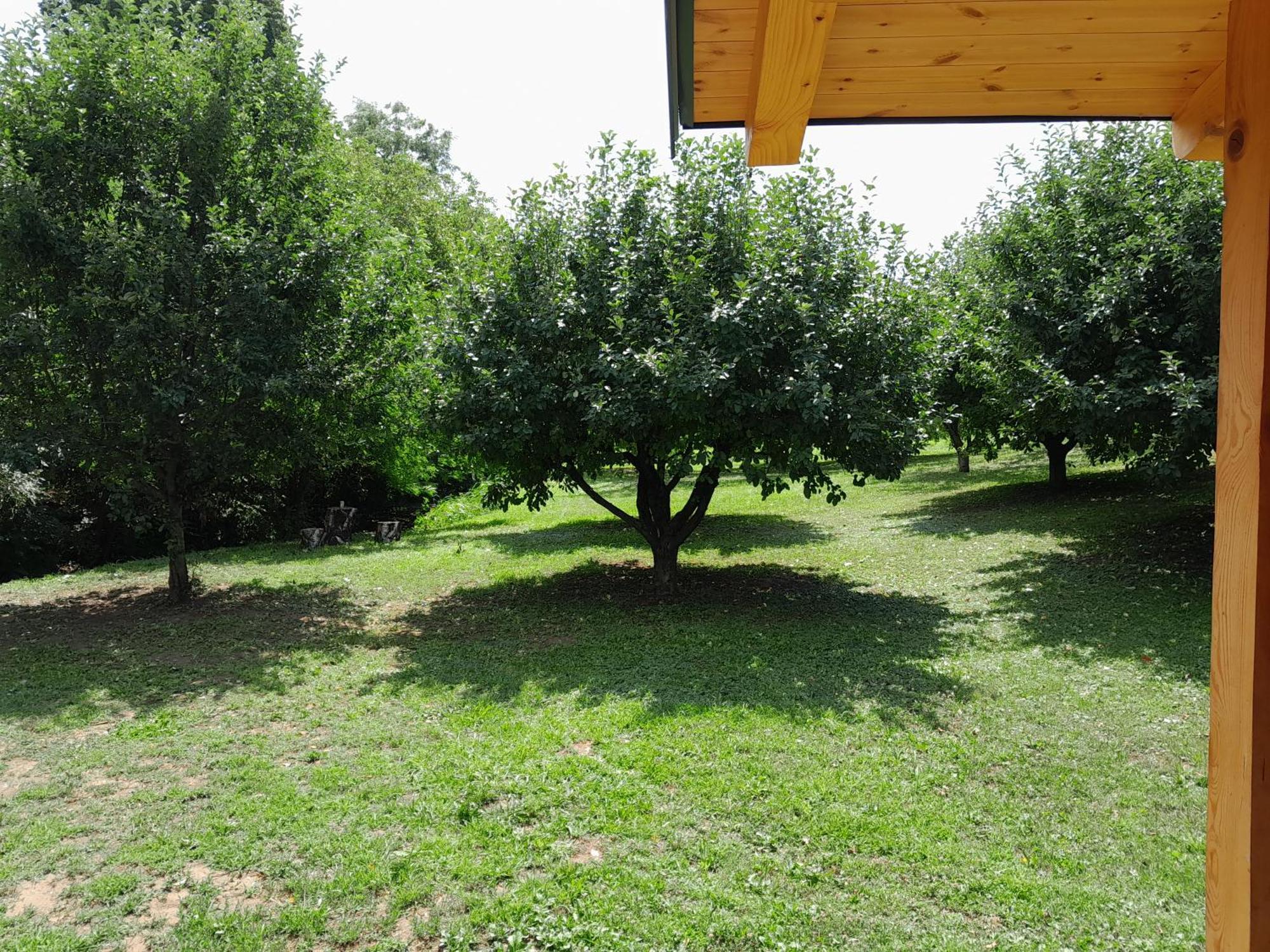 Villa Nica Wood Sremska Kamenica Exterior foto